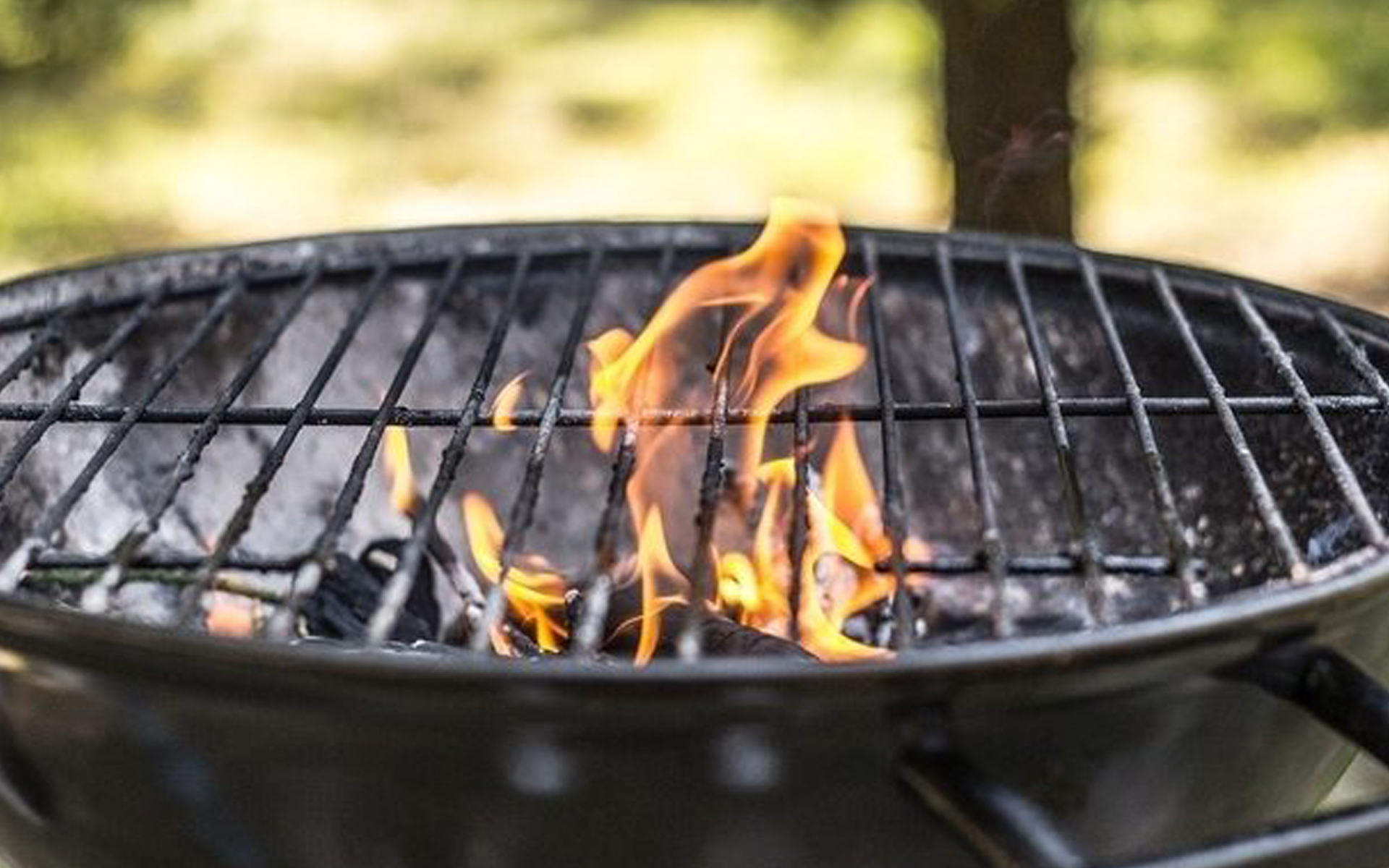 Step by Step Guide to Barbecue
